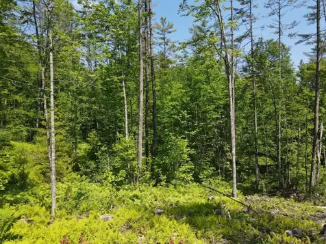 0 Denio Road Barnet VT 05821