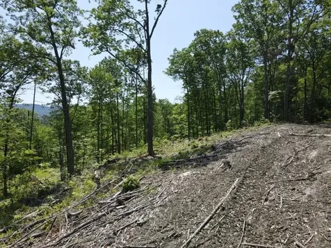 0 Denio Road Barnet VT 05821