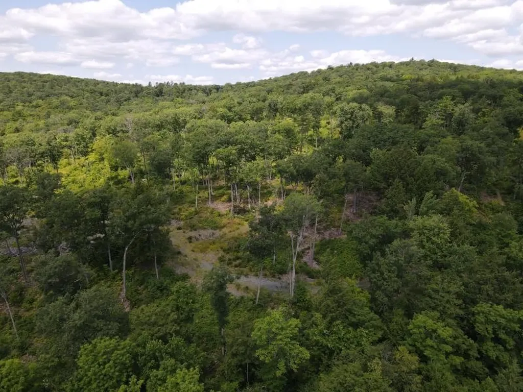 0 Denio Road Barnet VT 05821