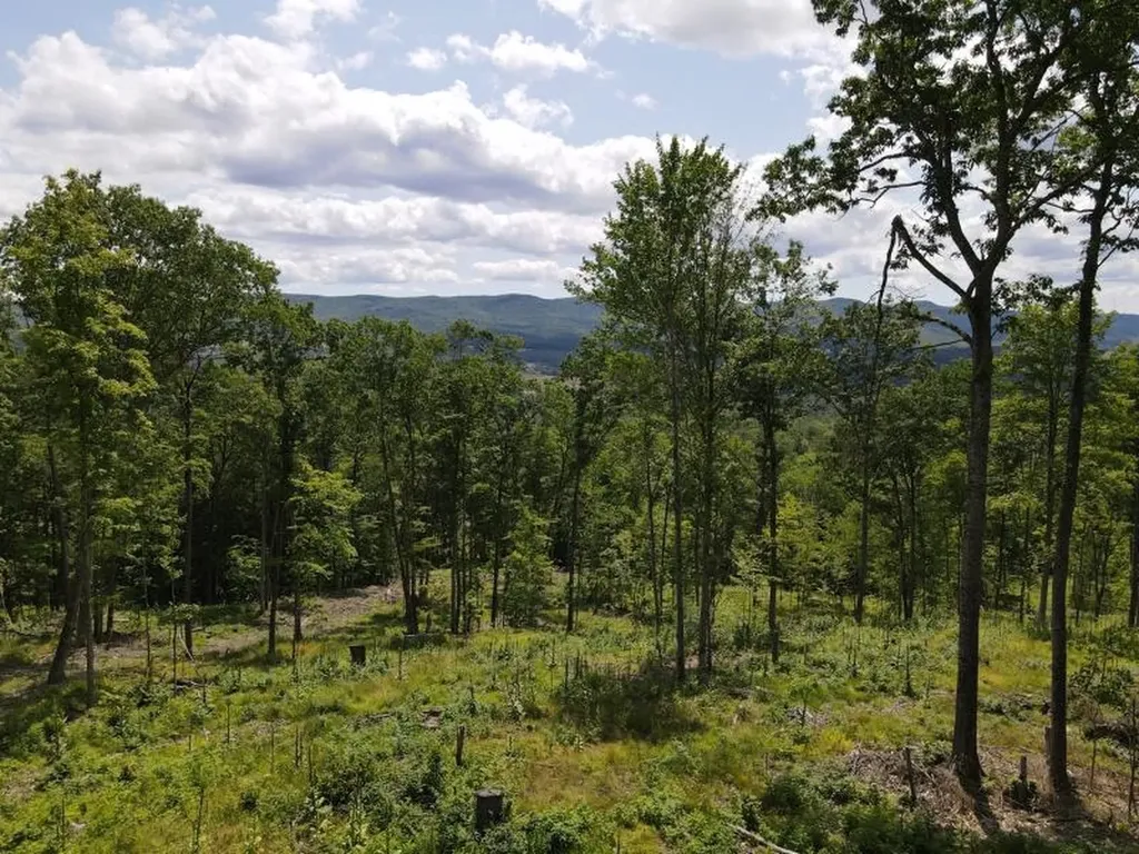 0 Denio Road Barnet VT 05821