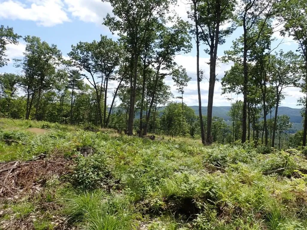 0 Denio Road Barnet VT 05821