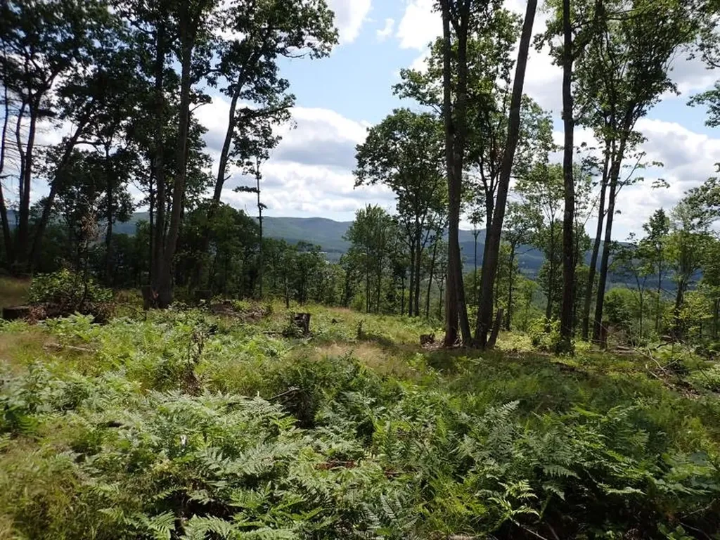 0 Denio Road Barnet VT 05821