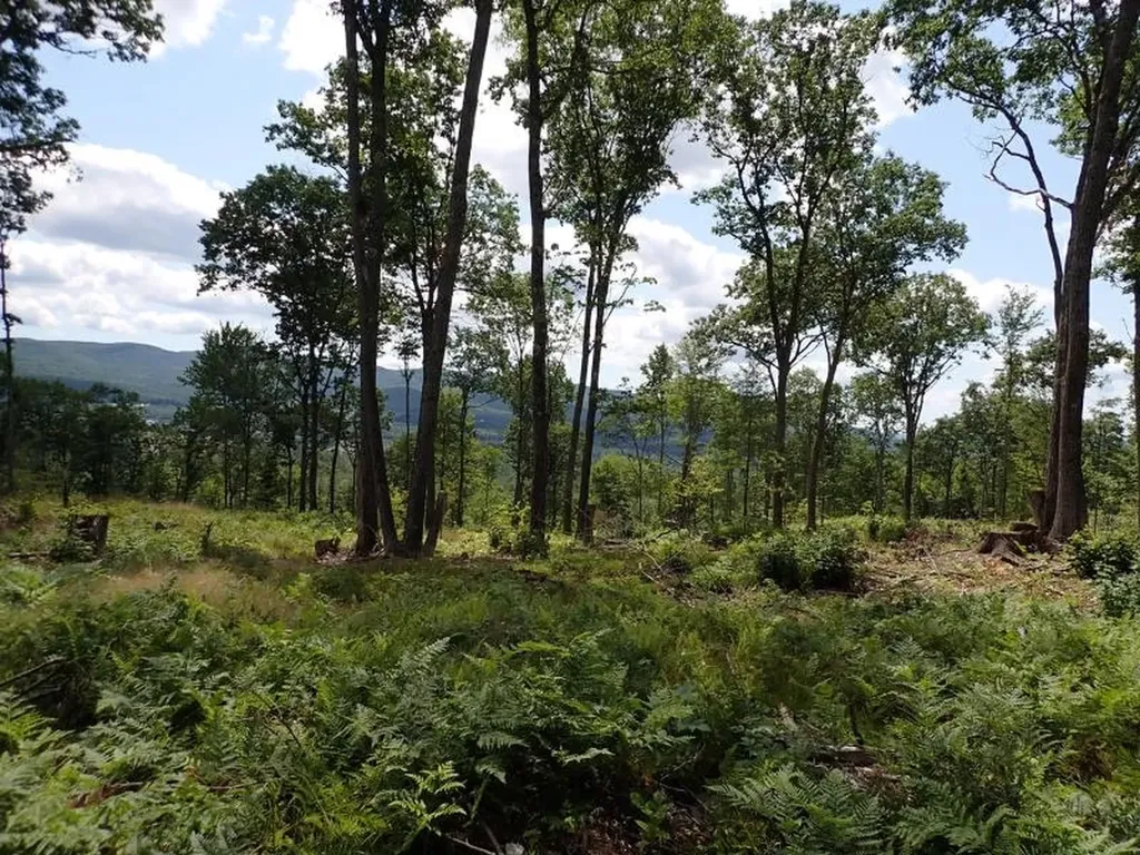 0 Denio Road Barnet VT 05821