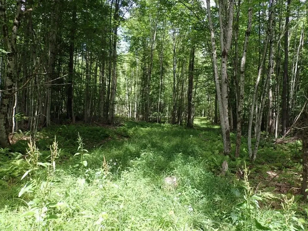 0 Denio Road Barnet VT 05821