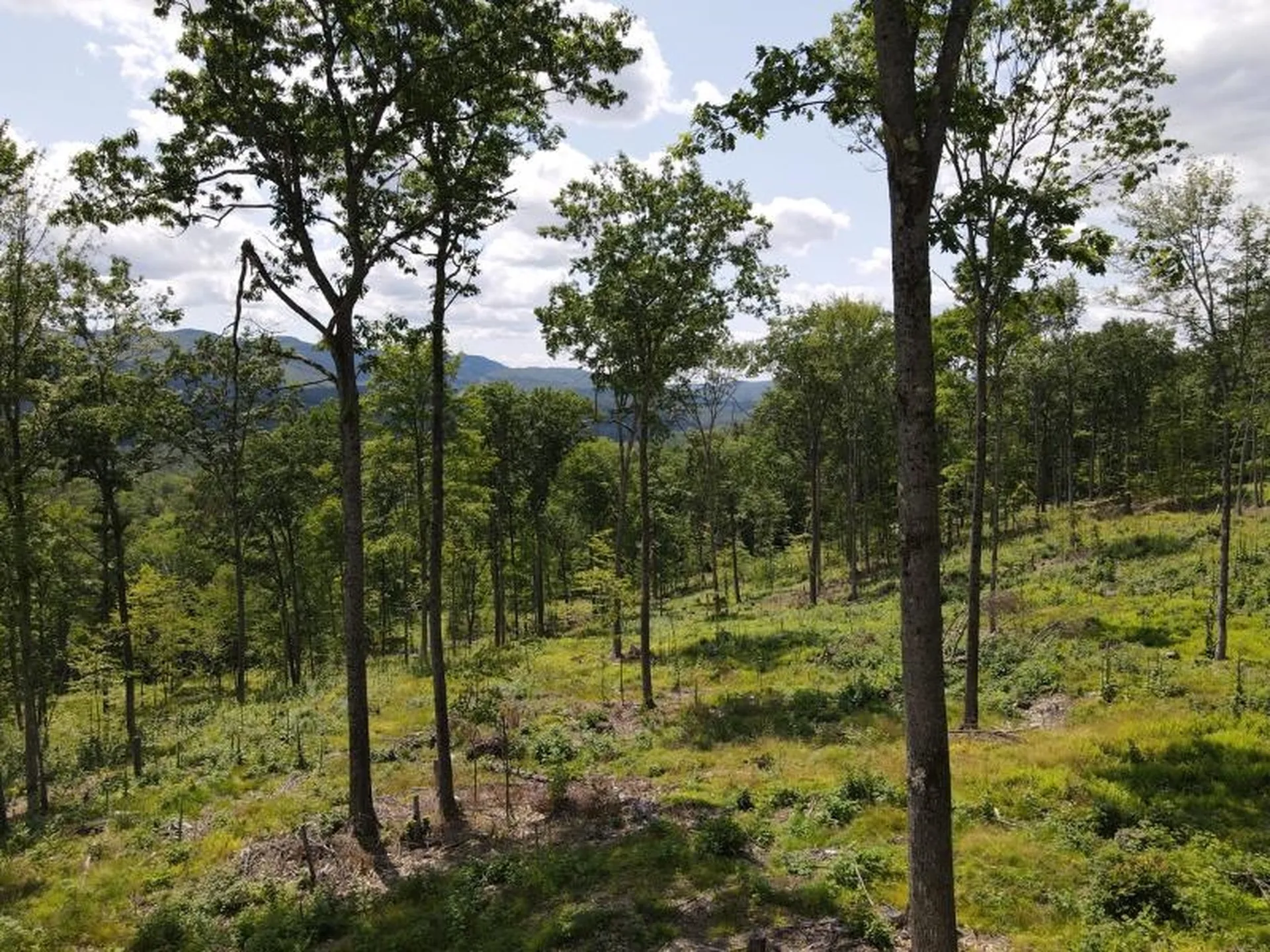 0 Denio Road Barnet VT 05821