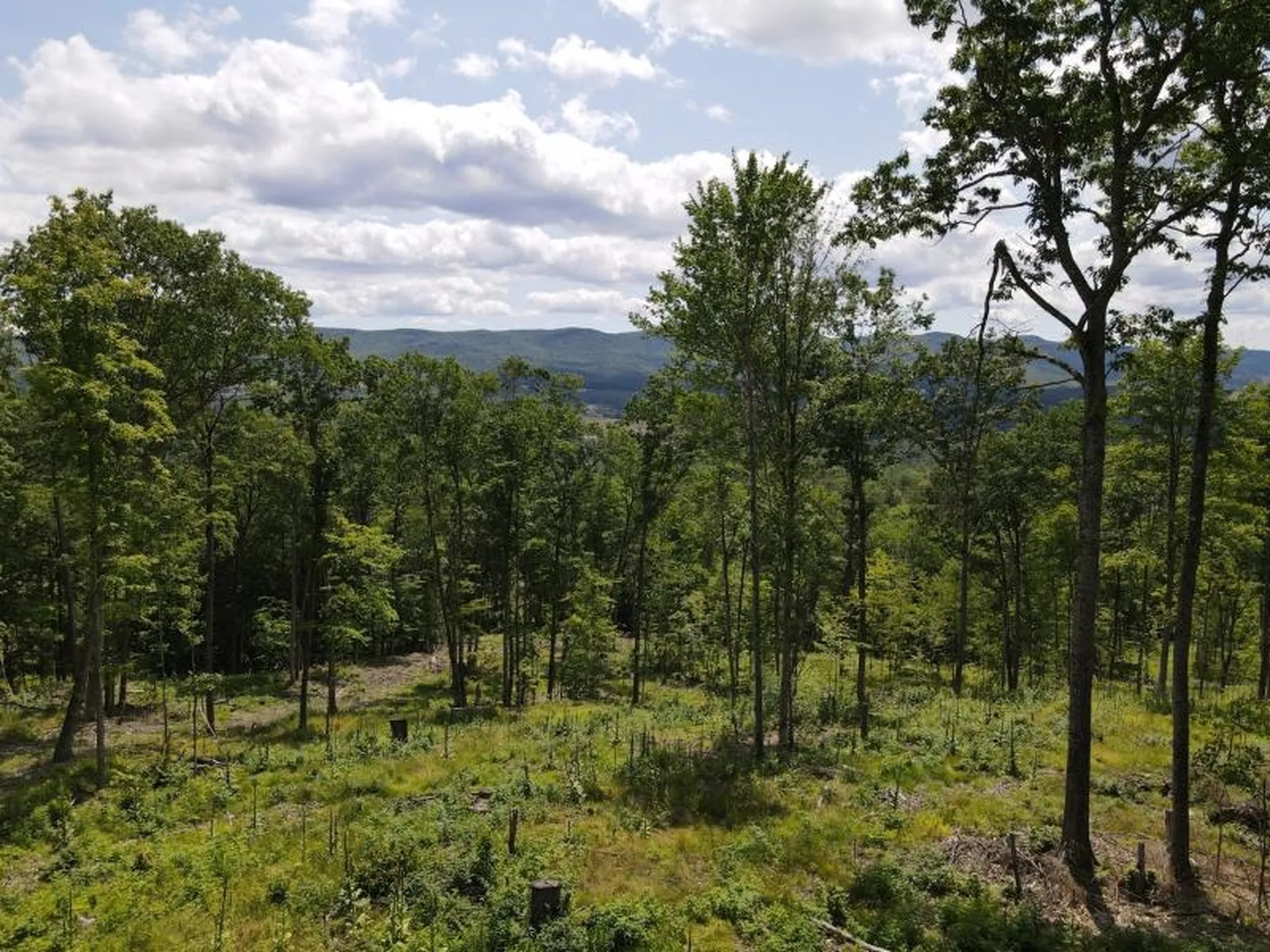 0 Denio Road Barnet VT 05821