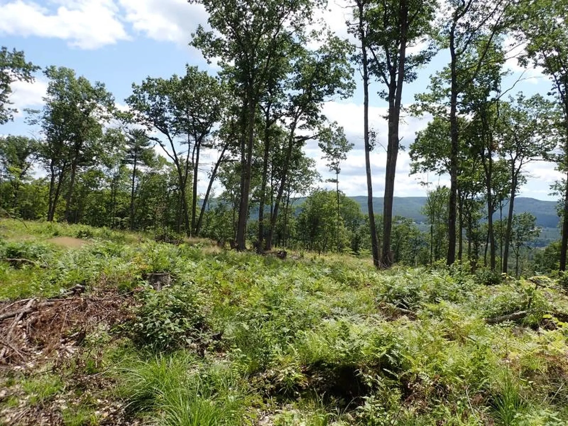 0 Denio Road Barnet VT 05821