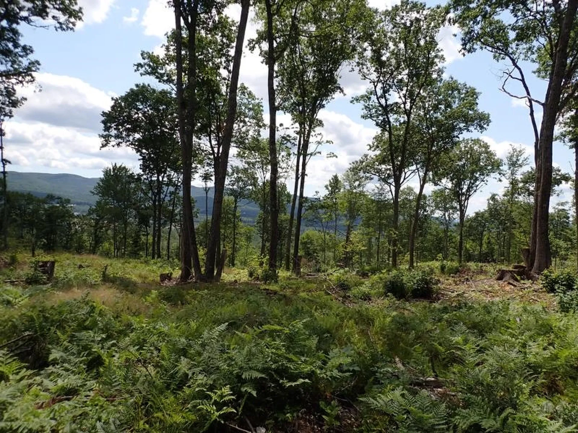 0 Denio Road Barnet VT 05821