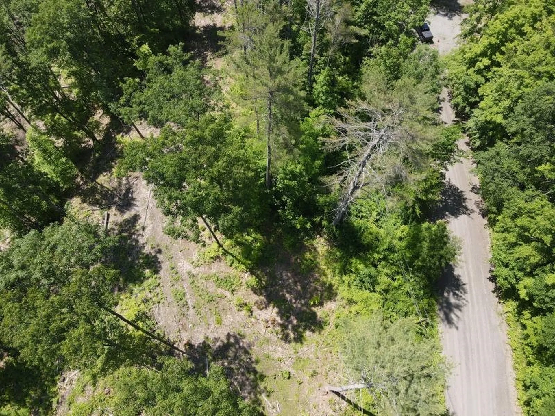 0 Denio Road Barnet VT 05821