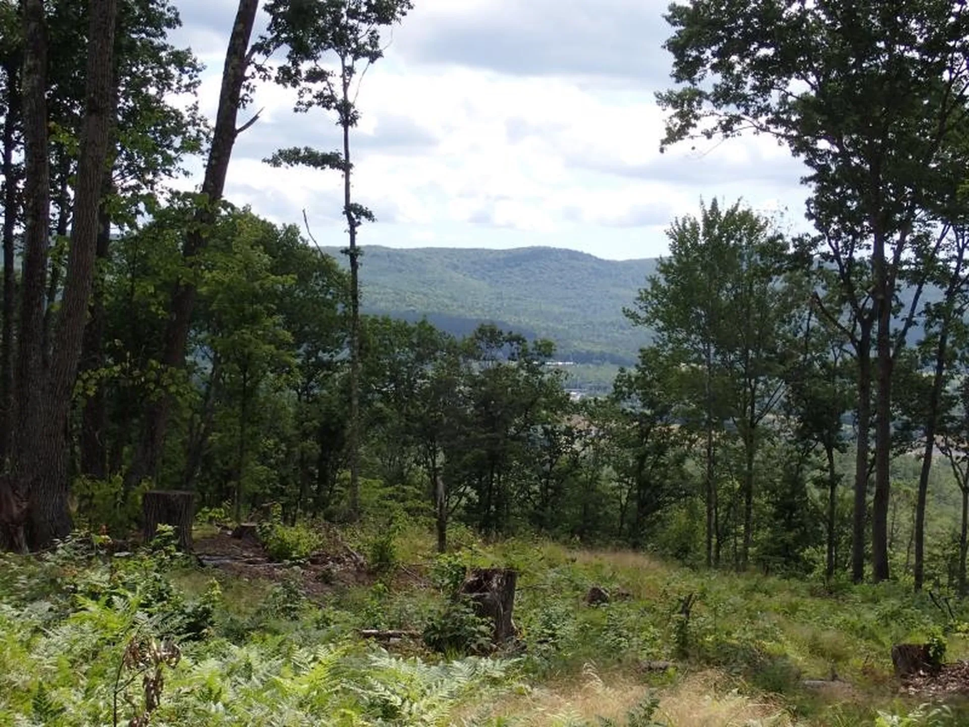 0 Denio Road Barnet VT 05821