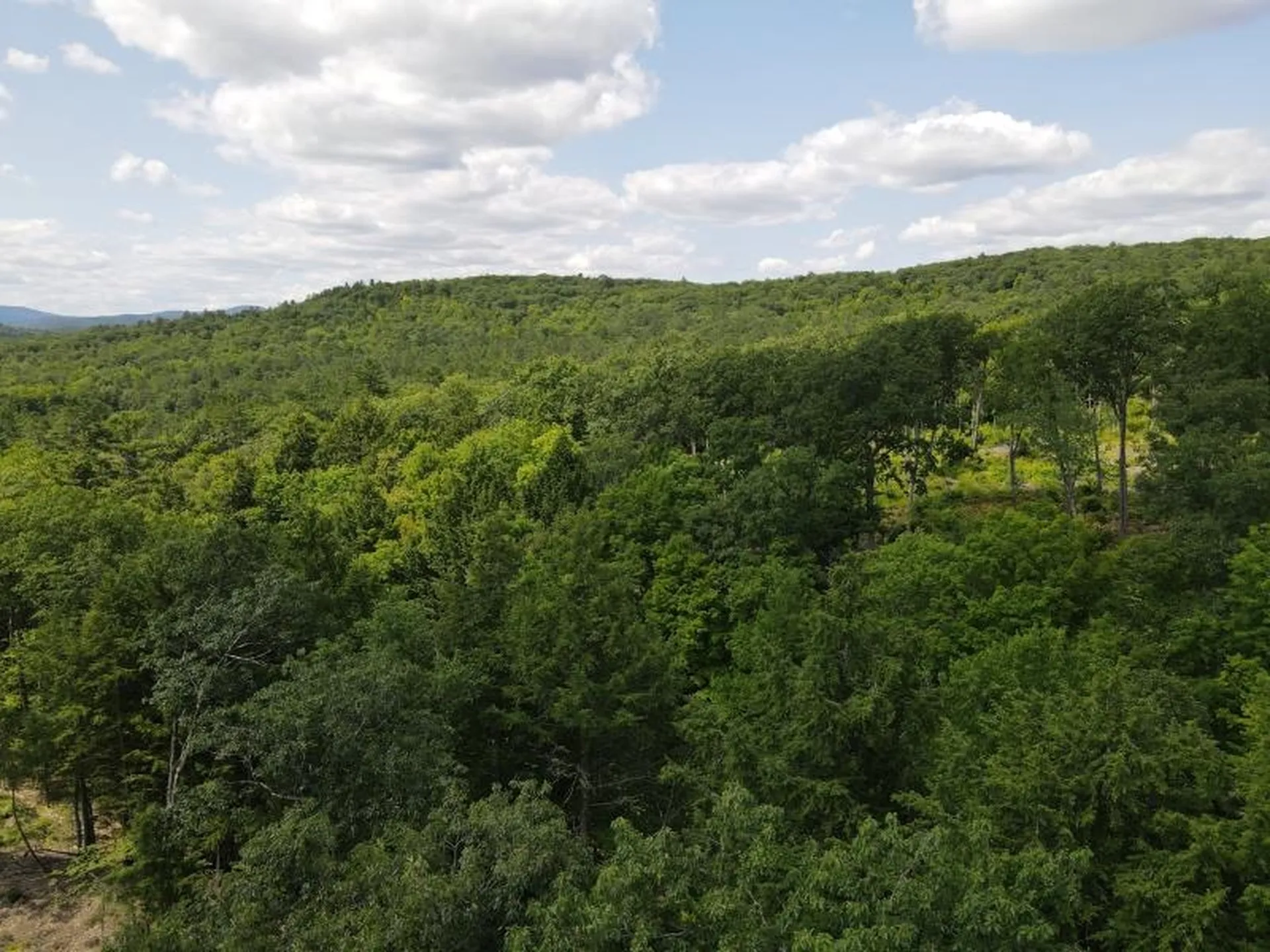 0 Denio Road Barnet VT 05821