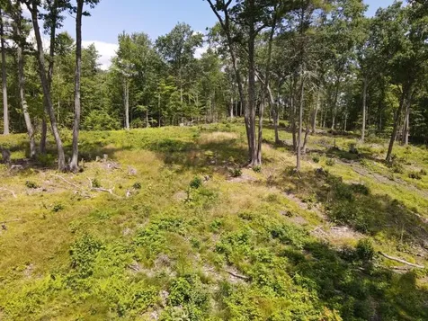 0 Denio Road Barnet VT 05821