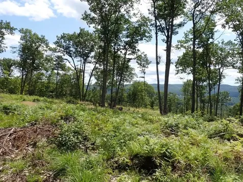 0 Denio Road Barnet VT 05821