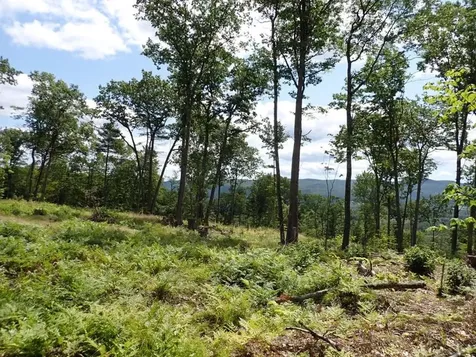 0 Denio Road Barnet VT 05821