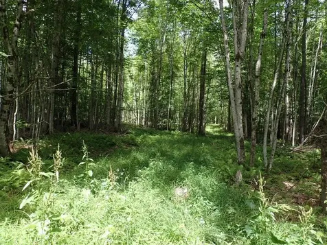 0 Denio Road Barnet VT 05821