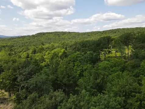 0 Denio Road Barnet VT 05821