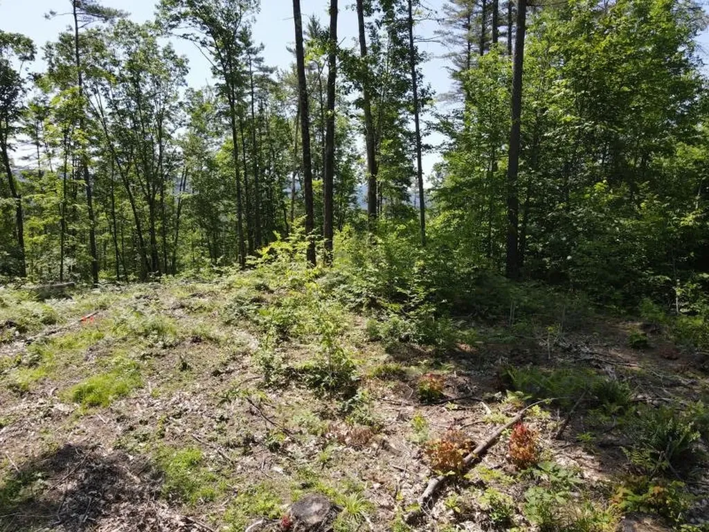 0 Denio Road Barnet VT 05821