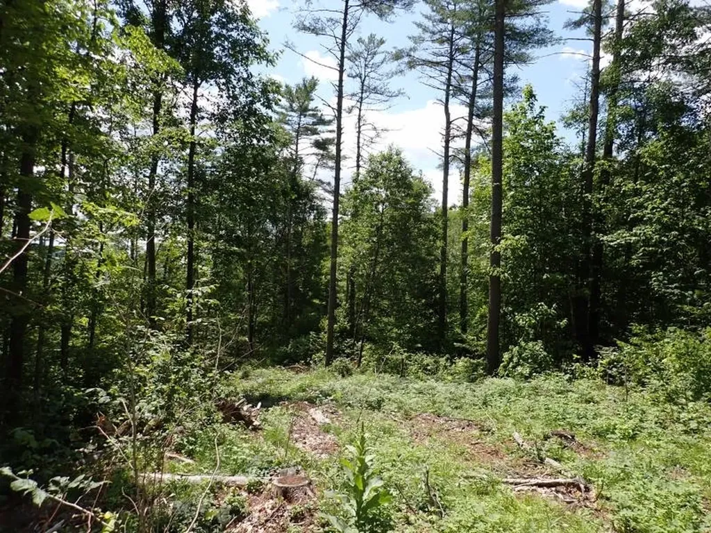 0 Denio Road Barnet VT 05821