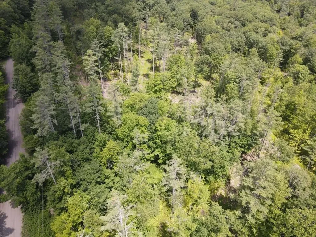 0 Denio Road Barnet VT 05821