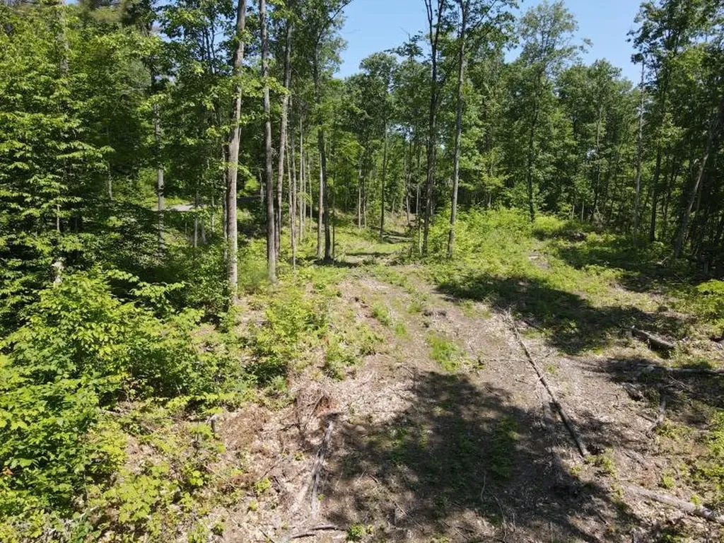 0 Denio Road Barnet VT 05821