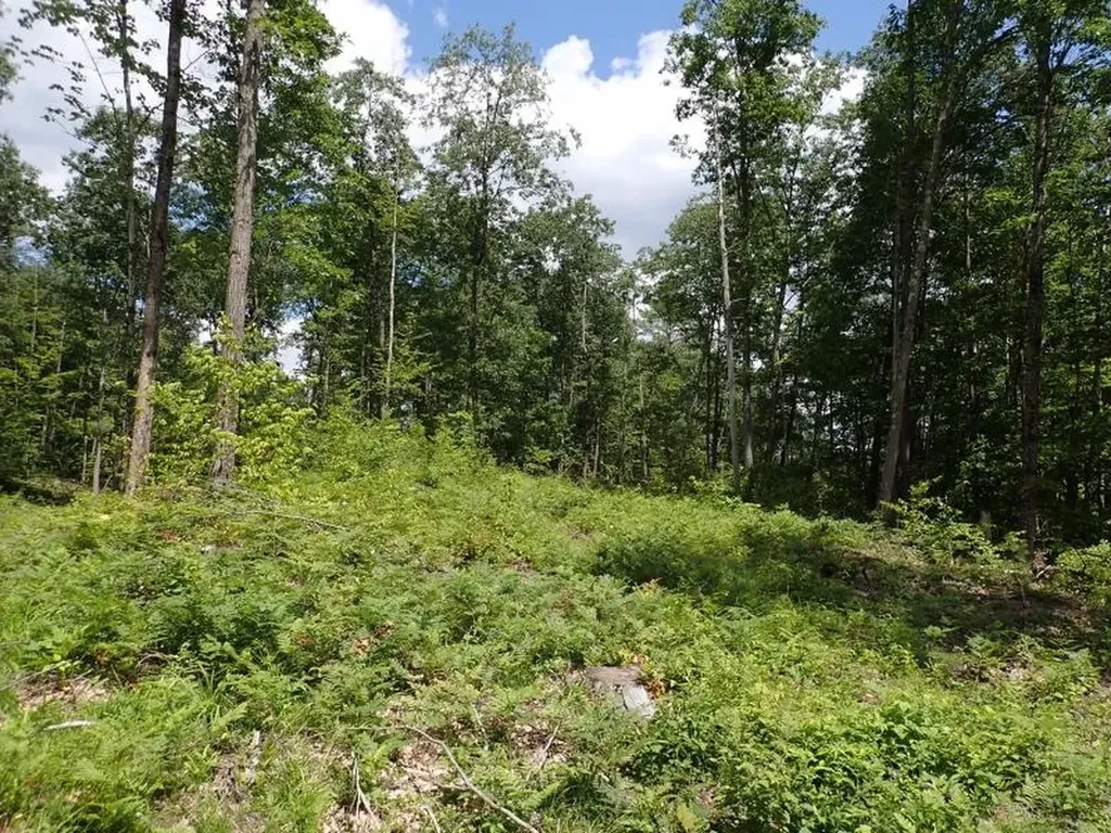 0 Denio Road Barnet VT 05821