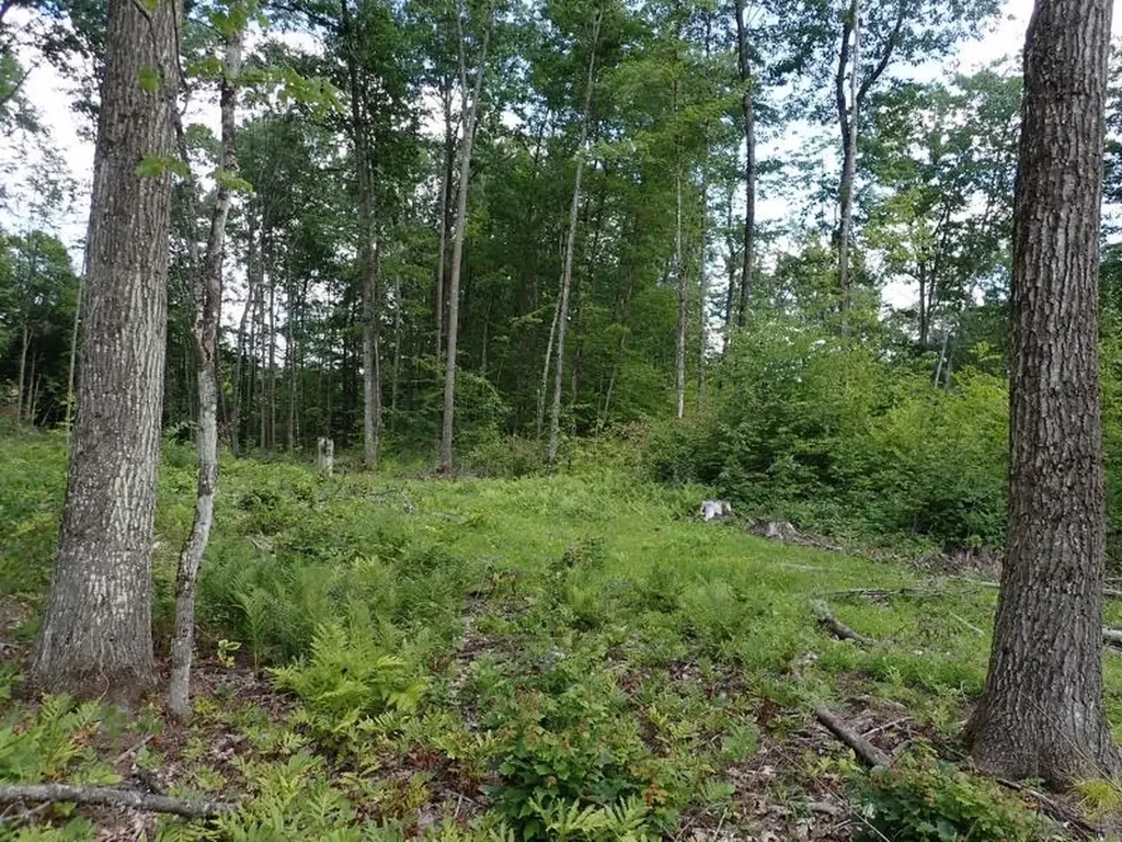 0 Denio Road Barnet VT 05821