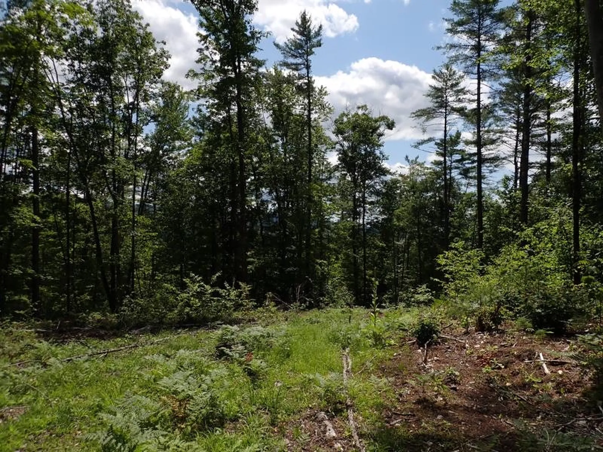 0 Denio Road Barnet VT 05821