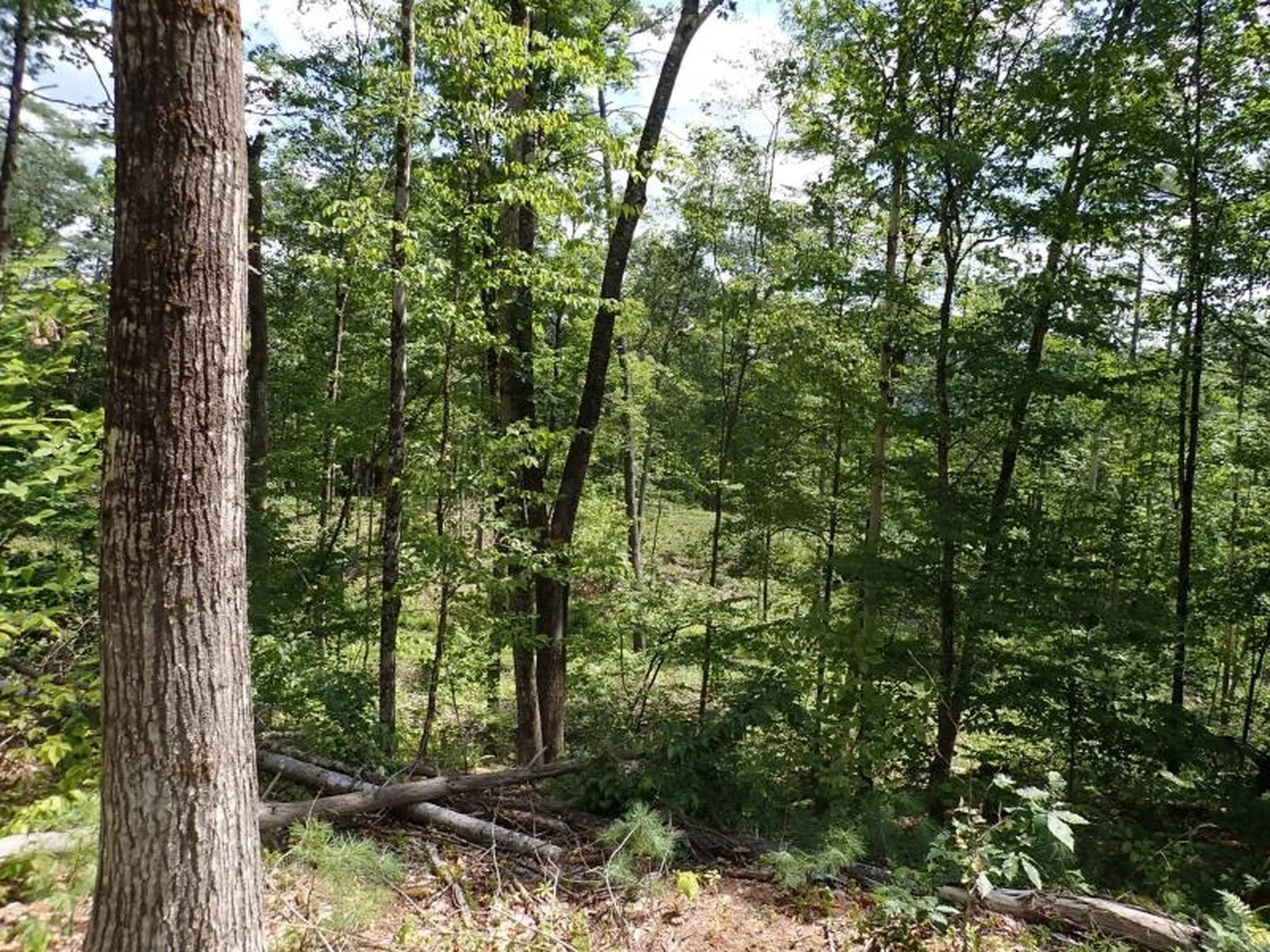 0 Denio Road Barnet VT 05821