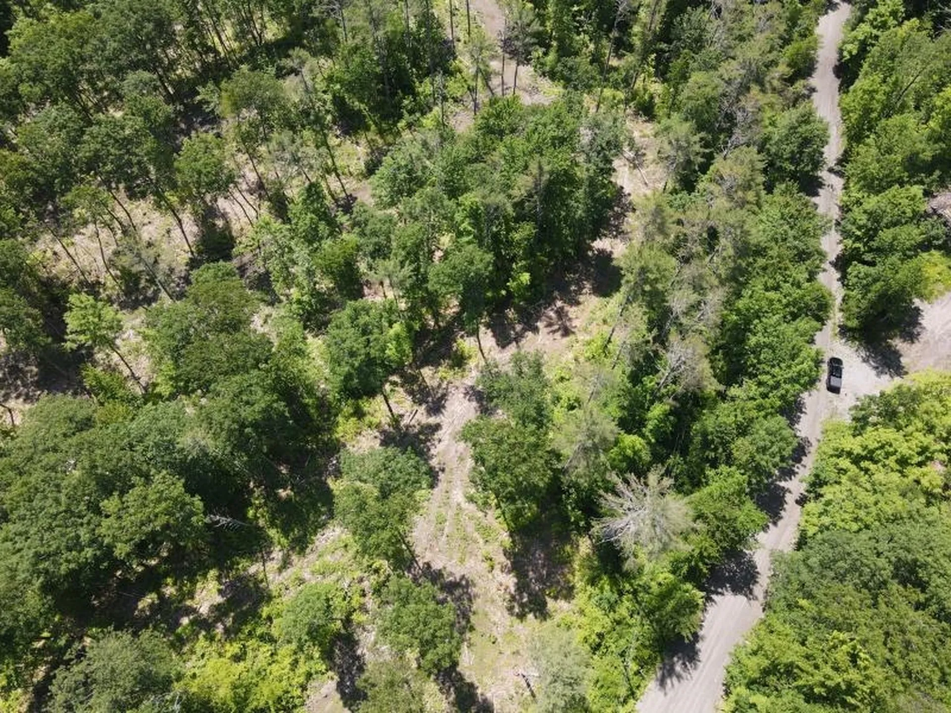 0 Denio Road Barnet VT 05821