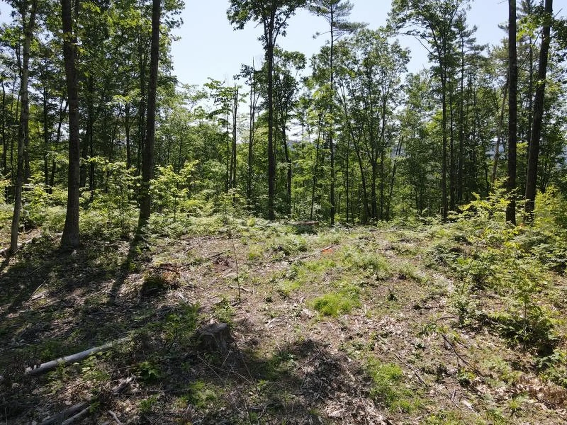 0 Denio Road Barnet VT 05821