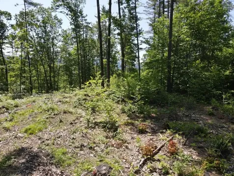 0 Denio Road Barnet VT 05821