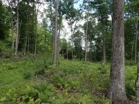 0 Denio Road Barnet VT 05821