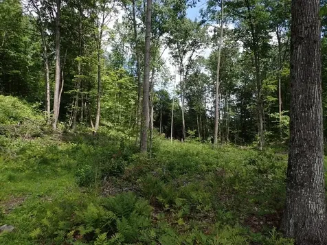 0 Denio Road Barnet VT 05821