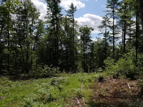 0 Denio Road Barnet VT 05821