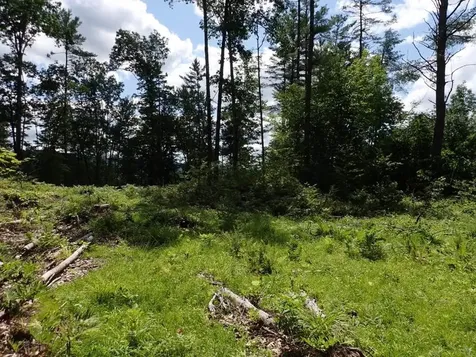 0 Denio Road Barnet VT 05821