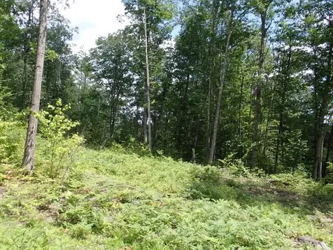 0 Denio Road Barnet VT 05821