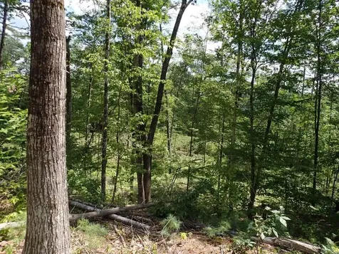 0 Denio Road Barnet VT 05821