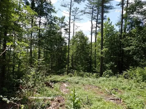 0 Denio Road Barnet VT 05821