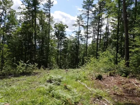 0 Denio Road Barnet VT 05821