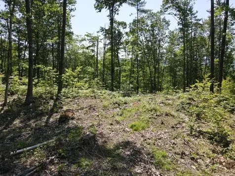 0 Denio Road Barnet VT 05821