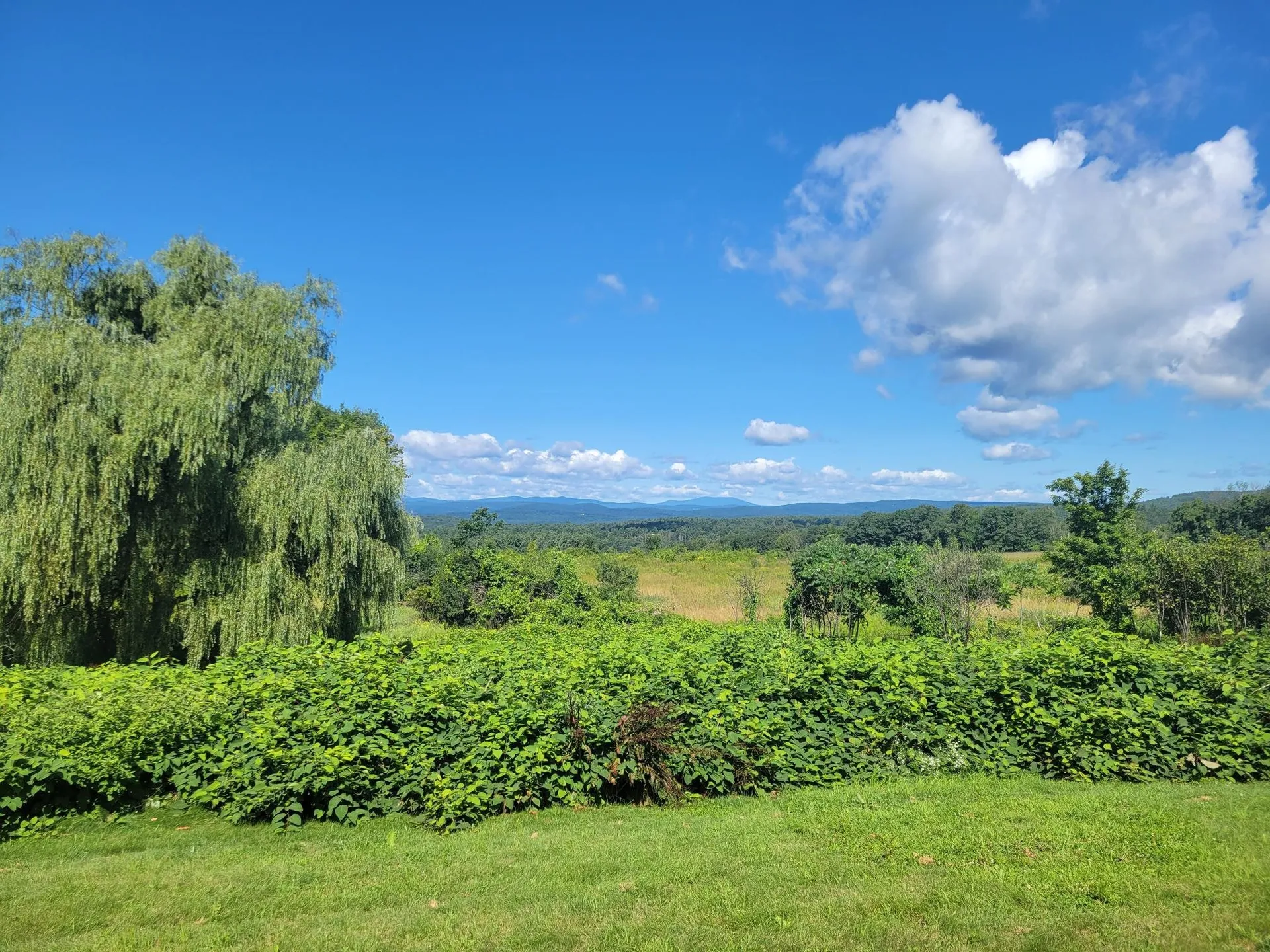 477 Route 63 Chesterfield NH 03443