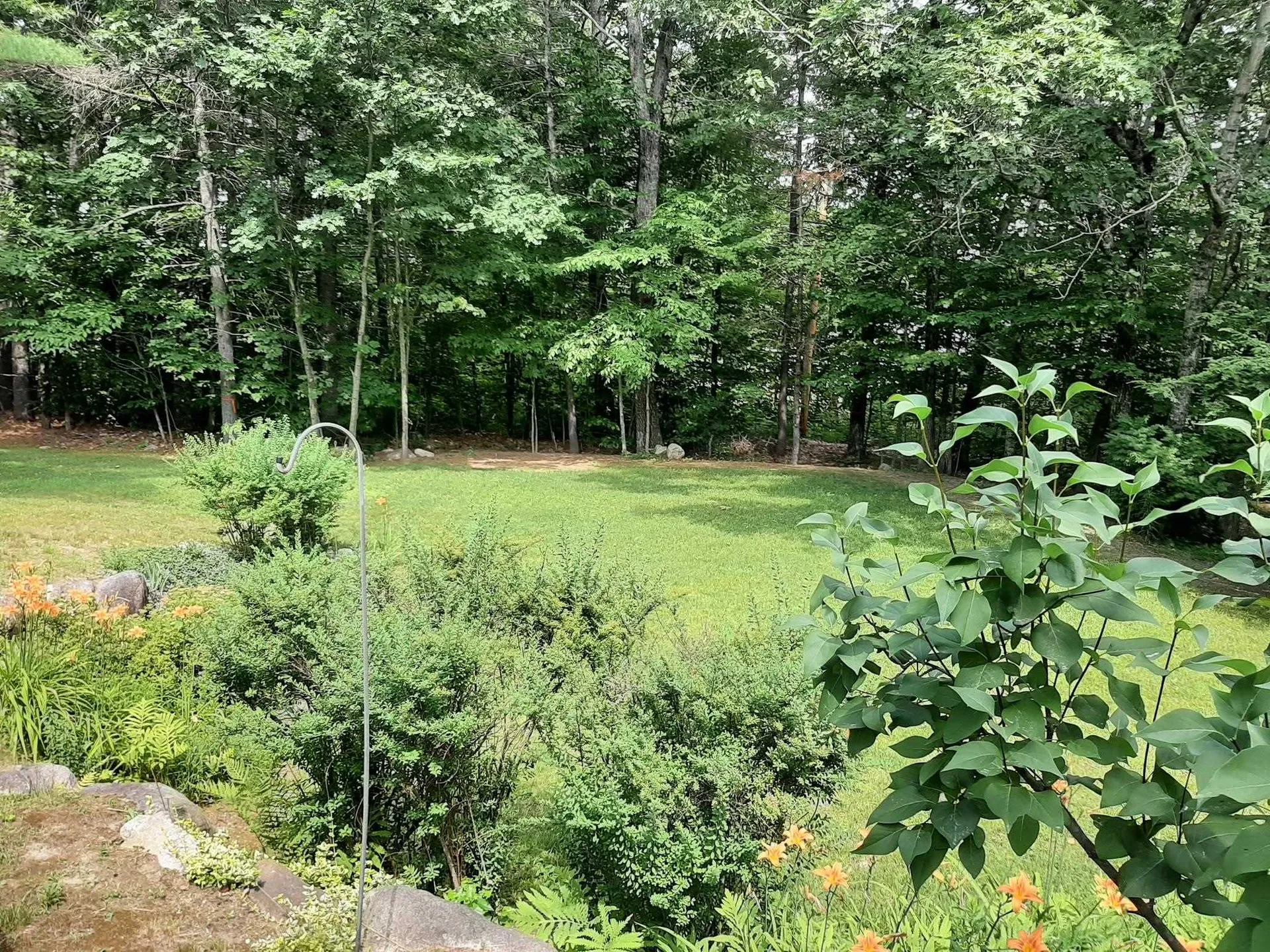 43 Wildwood Way Conway NH 03813