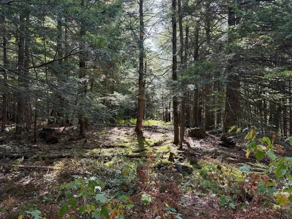 000 Smith Road Holderness NH 03245