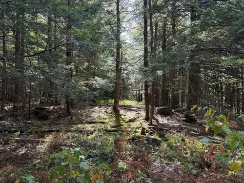 000 Smith Road Holderness NH 03245