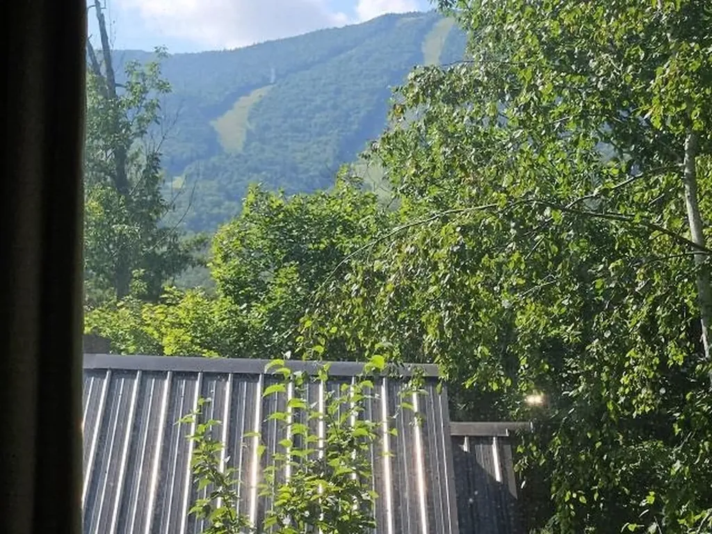 41 Whaleback Road Lincoln NH 03251