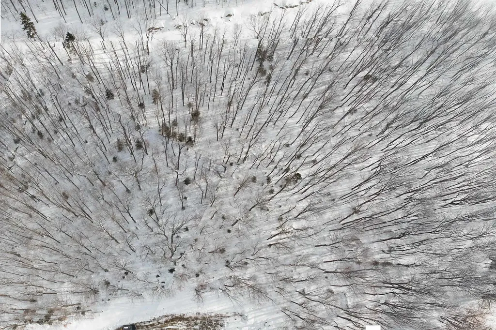 Lot 12 Mountainside Drive Killington VT 05751