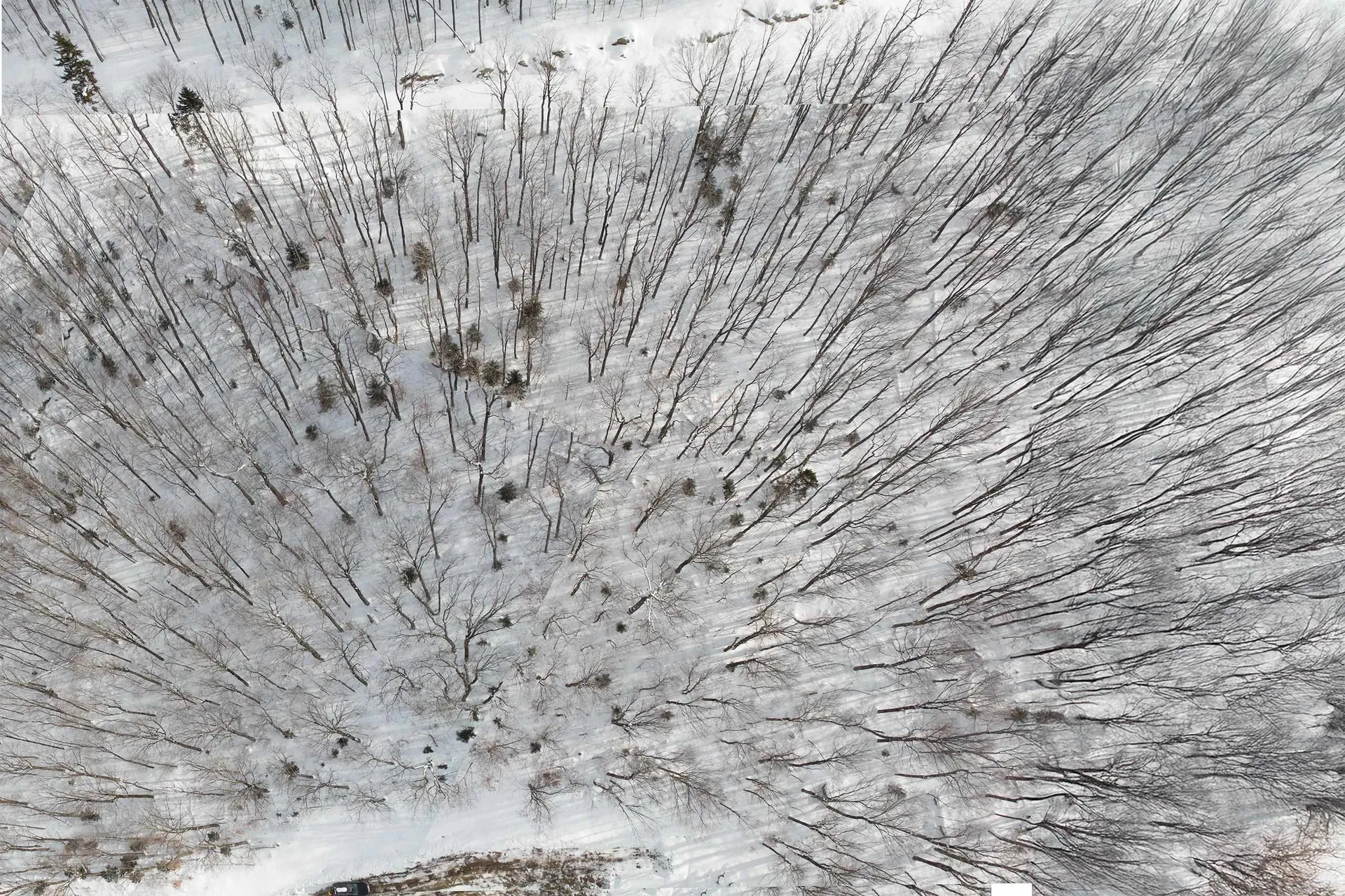 Lot 12 Mountainside Drive Killington VT 05751