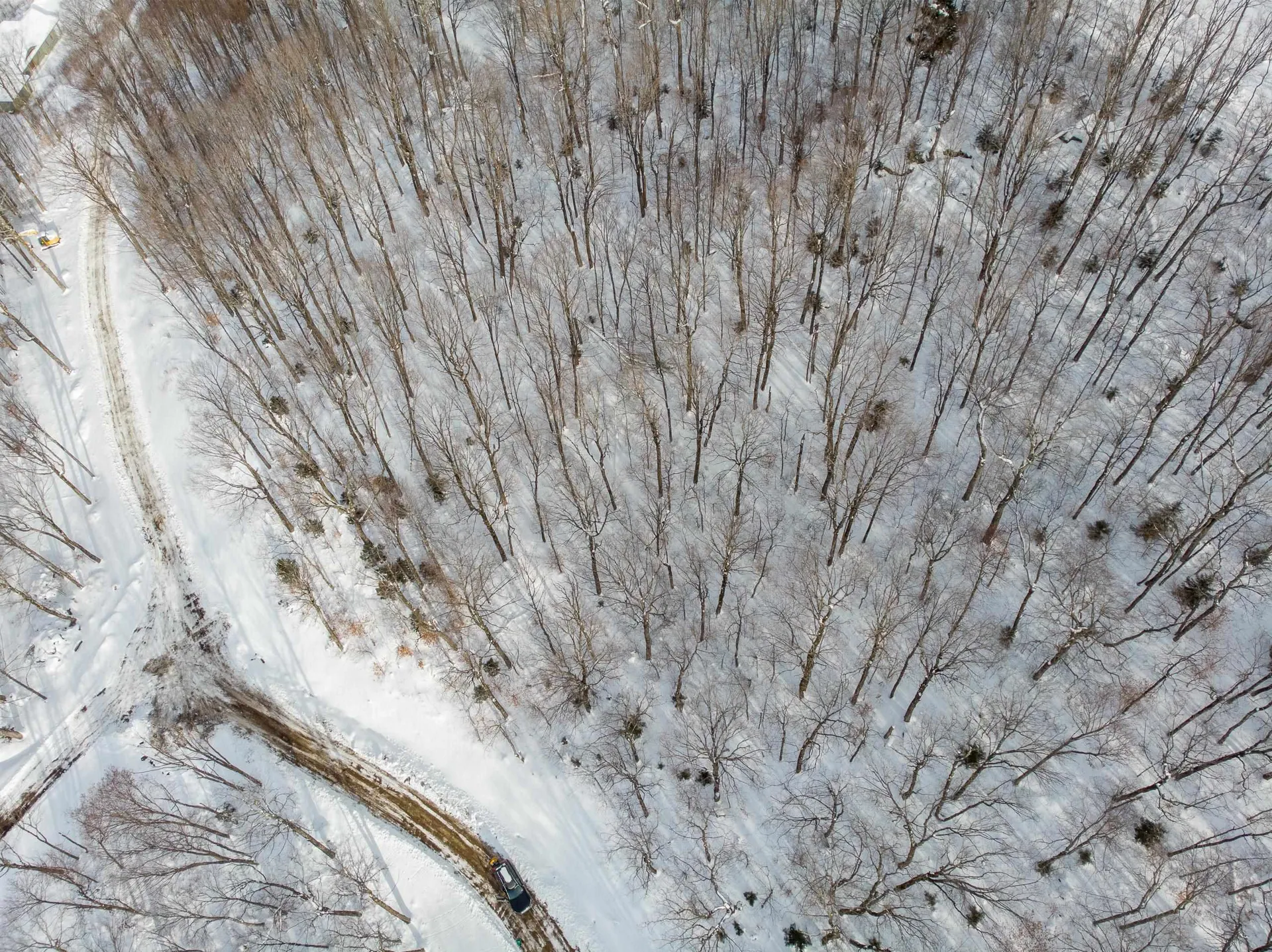 Lot 12 Mountainside Drive Killington VT 05751