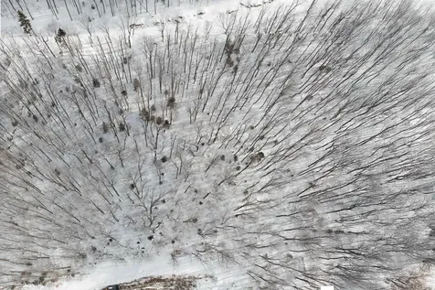 Lot 12 Mountainside Drive Killington VT 05751