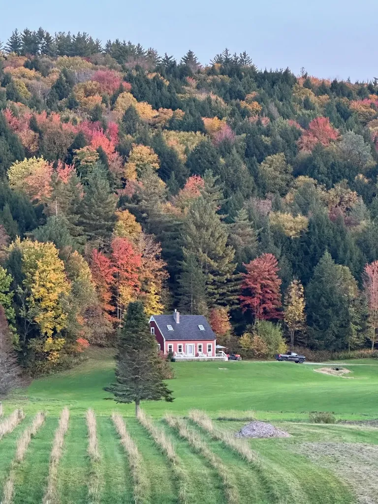 397 Pony Farm Road Moretown VT 05660